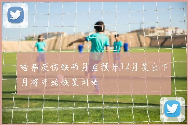哈弗茨伤缺两月后预计12月复出下月将开始恢复训练