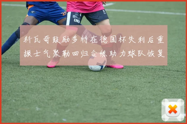 科瓦奇鼓励多特在德国杯失利后重振士气聚勒回归合练助力球队恢复状态