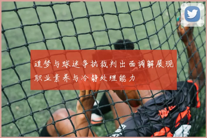 追梦与球迷争执裁判出面调解展现职业素养与冷静处理能力